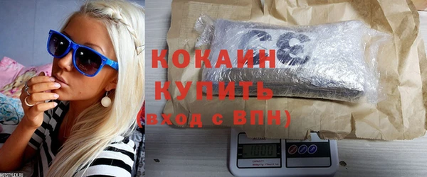 твердый Новодвинск